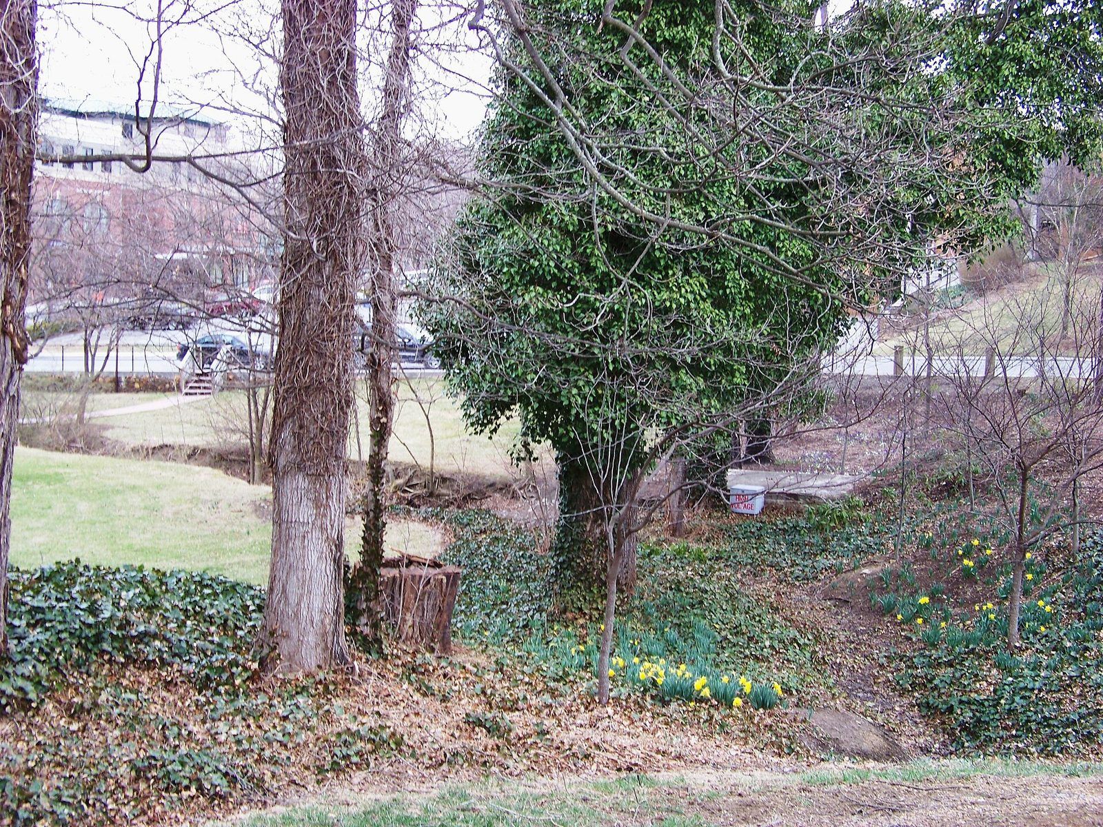 Downtown, Blacksburg, VA, USA - panoramio - Idawriter (1)